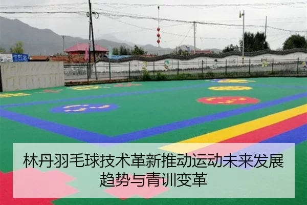 林丹羽毛球技术革新推动运动未来发展趋势与青训变革